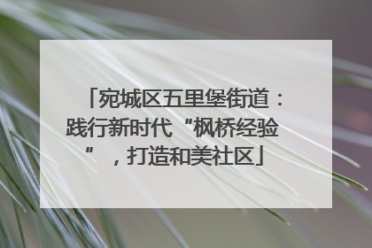 宛城区五里堡街道：践行新时代“枫桥经验”，打造和美社区